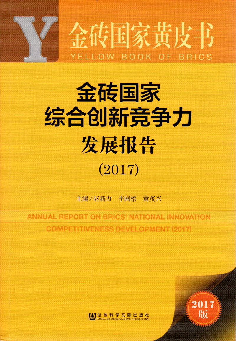 肏逼777/.com金砖国家综合创新竞争力发展报告（2017）